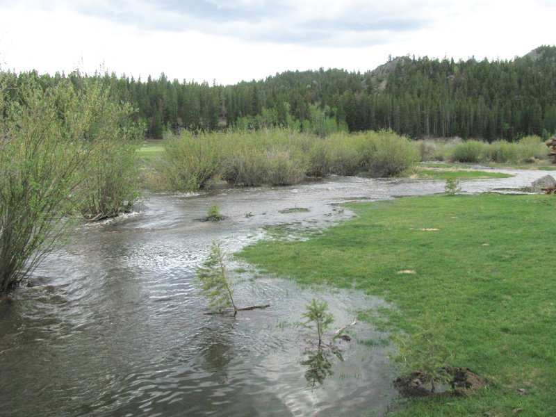 Property photo 9 - Get Lost in the Pristine Northern Colorado Rockies - Prime Building Sites
